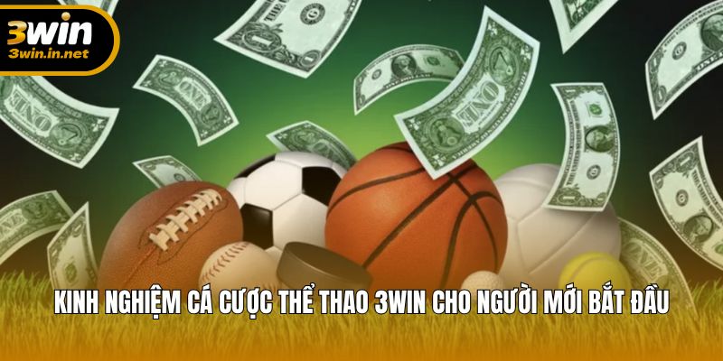 Hướng dẫn kinh nghiệm cá cược thể thao giúp người mới dễ thắng