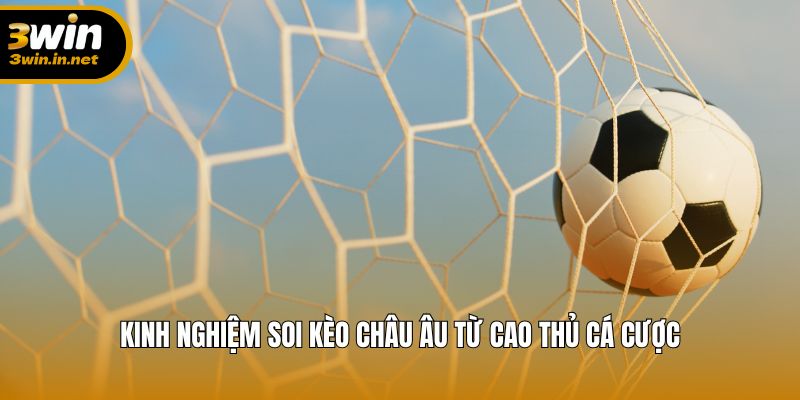 Mẹo soi kèo Châu Âu chuẩn từ các tay chơi lão luyện