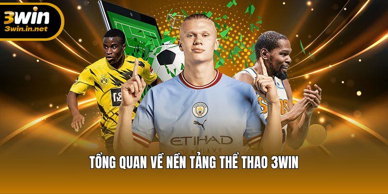 Tìm hiểu tổng quan về hệ thống cá cược thể thao tại 3WIN